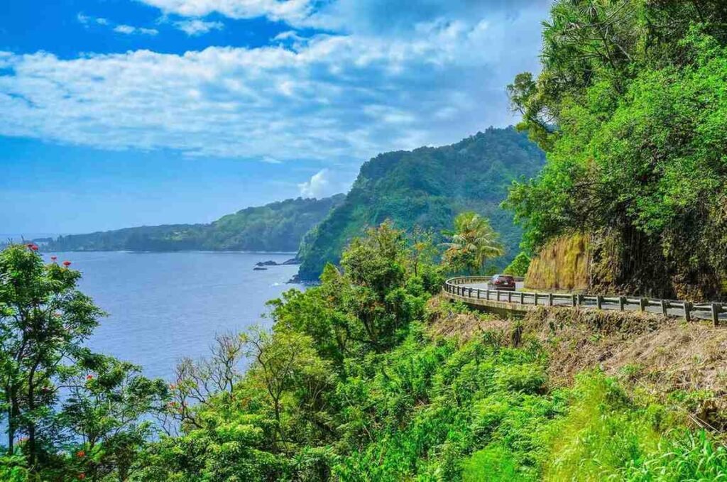 What Coastal and Unique Scenic Byways Should You Explore?