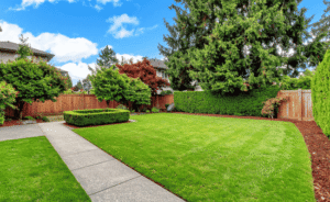 Lawn Care in Utah What Homeowners Understand About Building a Healthier Yard