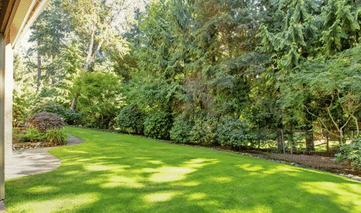 The Difference Between Caring For Grass And Managing A Yard System