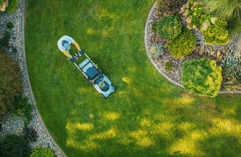 What Lawngevity Does Differently In The Wasatch Front