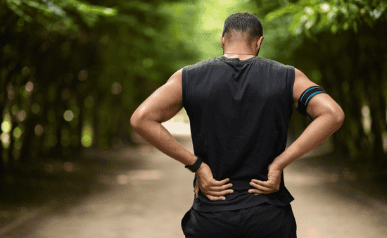 Five Structural Pillars of Balanced Plant-Based Care